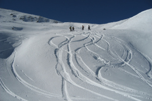 2007 Iran