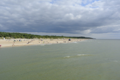 DSC0564
