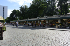 DSC0750