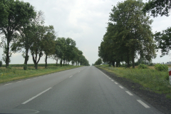 DSC0415