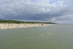 DSC0564
