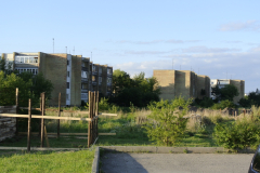 DSC0577