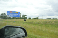 DSC0607