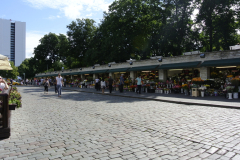 DSC0750