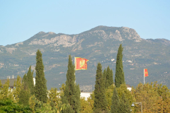 DSC_1980