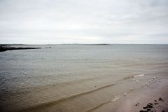 DSC_5307
