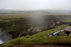 DSC_6000