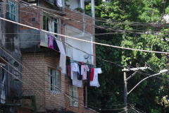 DSC_6424