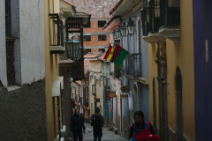 DSC_7026