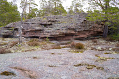 1_DSC00708