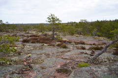 1_DSC00719