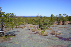 1_DSC00741