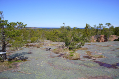 1_DSC00741