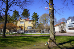 1_DSC00819