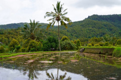 DSC02038