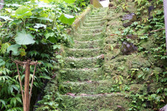 DSC02065