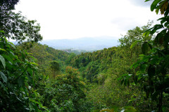 DSC02094