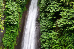 DSC02104