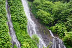 DSC02309