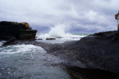 DSC02338