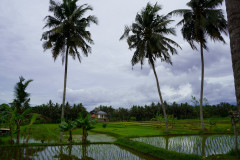 DSC02403