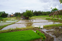 DSC02409