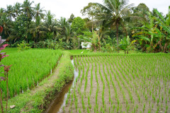 DSC02435
