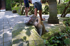 DSC01878