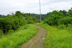 DSC01947