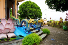 DSC02223