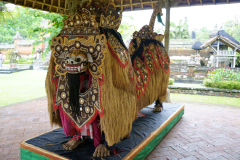 DSC02401