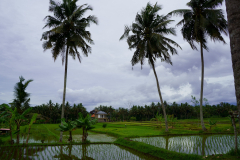 DSC02403