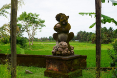DSC02426