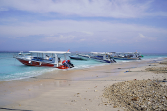 DSC02477