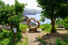 DSC02478
