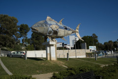 Fiskstaty, Albufeira Portugal