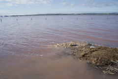 The Pink Lake Of Torrevieja