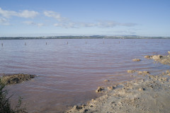The Pink Lake Of Torrevieja