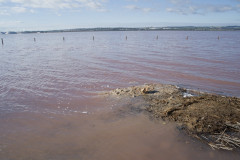 The Pink Lake Of Torrevieja