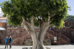 Tejeda, Gran Canaria