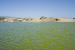 Sötvattendamm och sanddynorna i Maspolamas, Gan Canaria